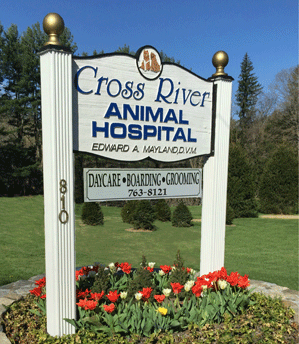 Cross River Animal Hospital - Veterinarian in Cross River, NY US :: Office  Tour Cross River Animal Hospital - Veterinarian in Cross River, NY US